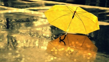 বৃষ্টিভেজা মাটির গন্ধের সুলুকসন্ধান